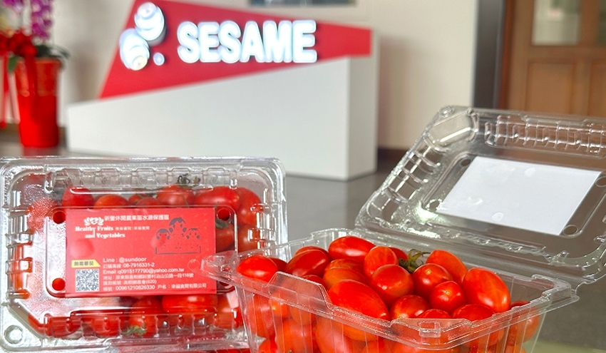 Nachhaltigkeit erleben: Unser Beitrag zu ESG